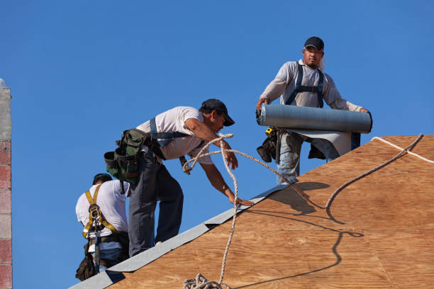 Best Roof Waterproofing Services  in Bigfork, MT