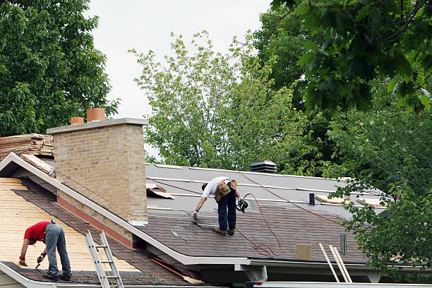 Best Roof Maintenance Services  in Bigfork, MT