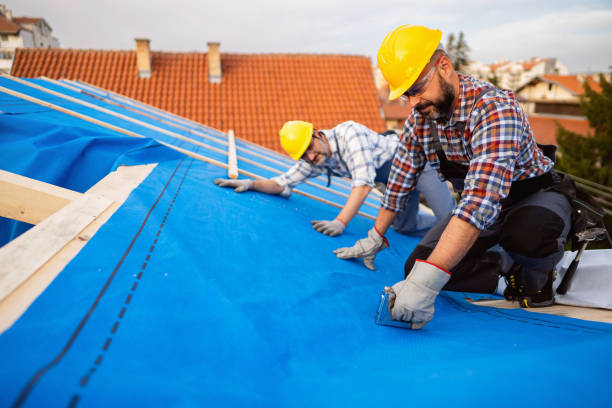 Best Metal Roofing Contractor  in Bigfork, MT