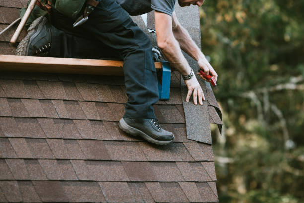 Best Roof Gutter Cleaning  in Bigfork, MT